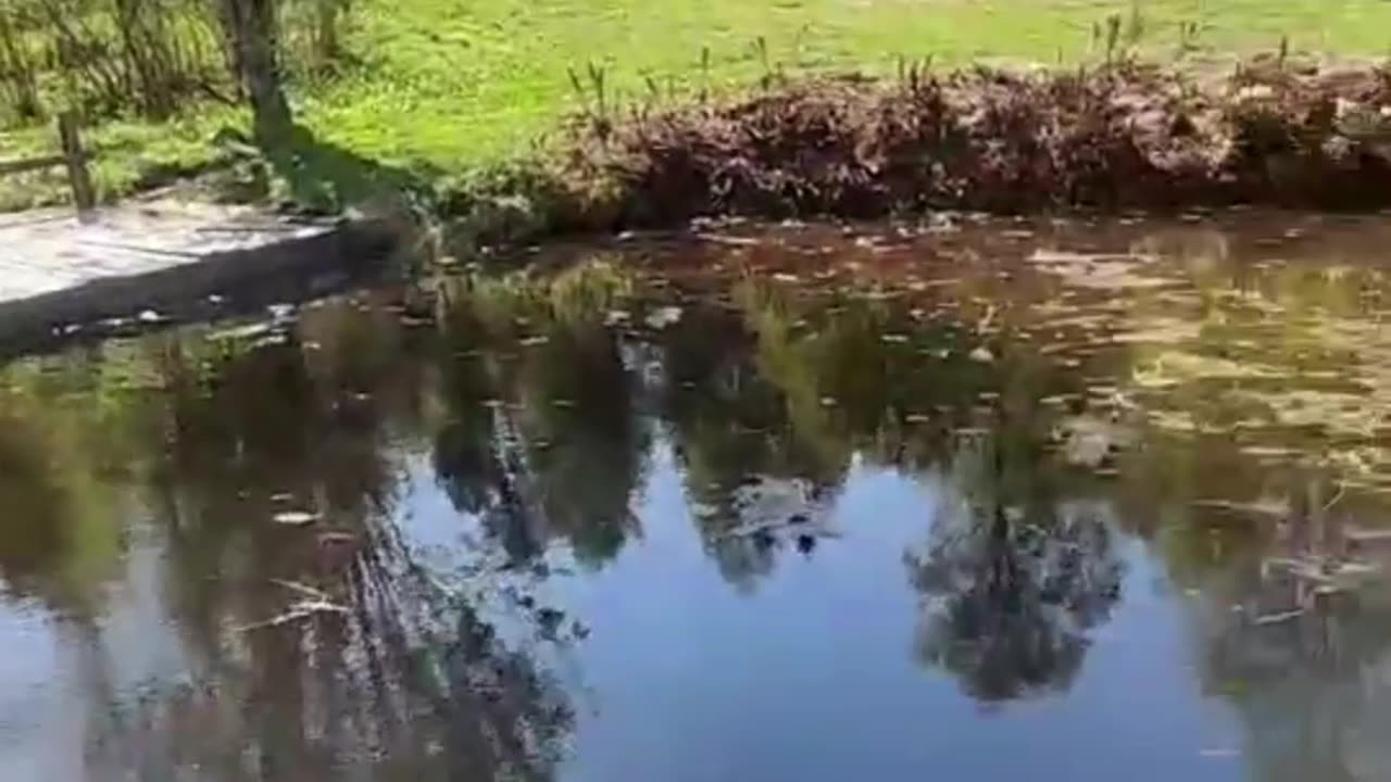 Shadow Man in Swedish Countryside