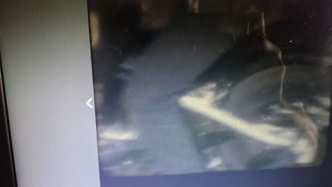 old 1%er clips etc etc