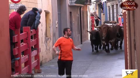 EL TORO LLAMA EN CASA