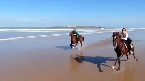 A horse running in the sea