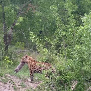 Watch the full video for more!