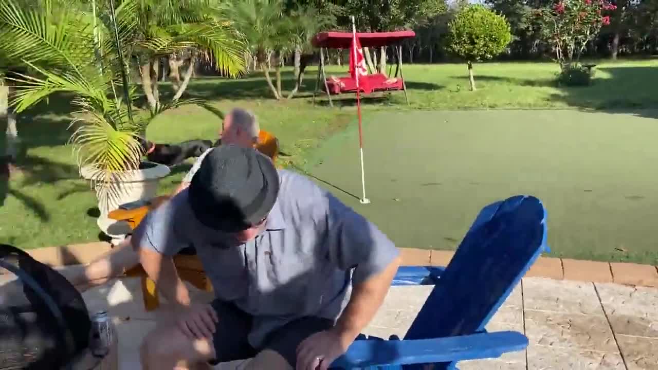 Puppy plays in the pool for the very first time