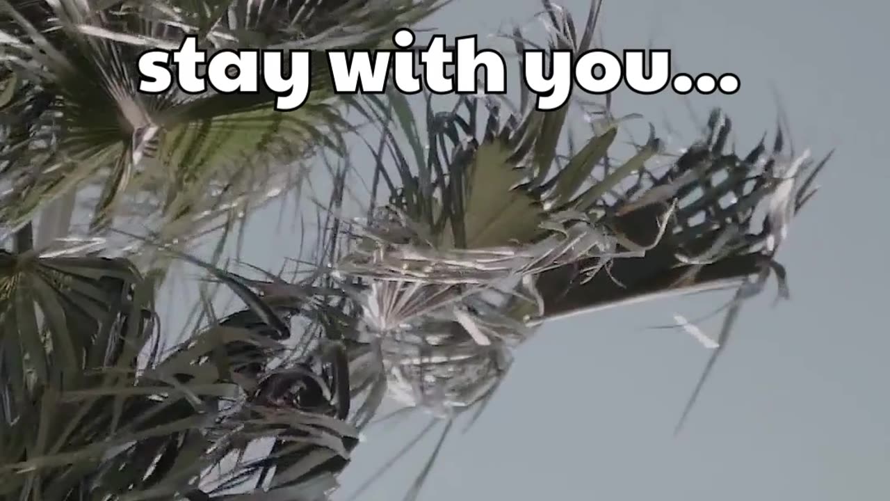 A woman can stay with you.. #shorts #psychologyfacts #subscribe