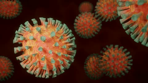 Institutional Viruses and the Covid 19 Pandemic – Interview with Dr. Gordon Anderson