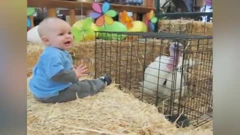 Cute funny baby on a farm/Enjofull video/mix video baby's