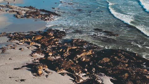 Table Mountain, Melkbosstrand, Cape Town