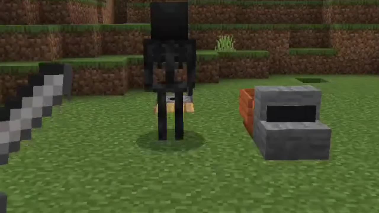 Evolution of Wither Skeleton || #minecraft