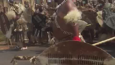Amabutho the zulus