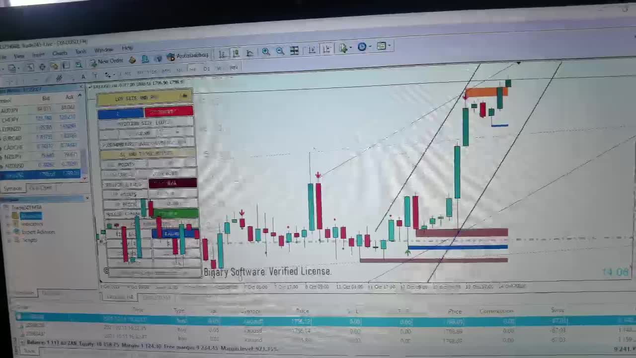 THE SOFTWARE WILL NEVER LET YOU DOWN