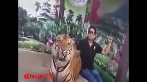 Most Funny Viral Videos Funny Pranks Try Not To Laugh Challenge
