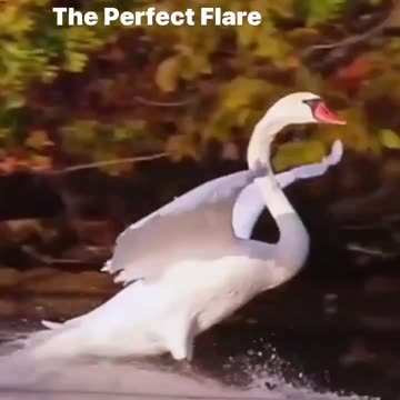 Wish all air travellers a smooth and perfect landing 😊👍