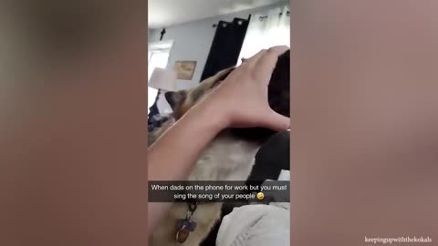 German Sheperds can do the MOST