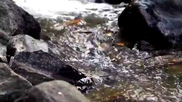 River - Stream - Relaxing 10 minutes - Ambient - Nature