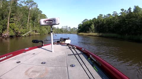 Hitting stump in a Triton Bass Boat Yellow River Florida