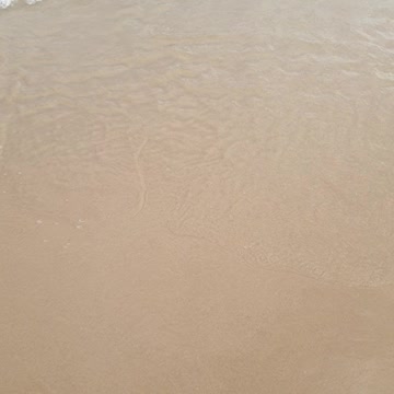 ASMR Sounds of Sea Waves at beach