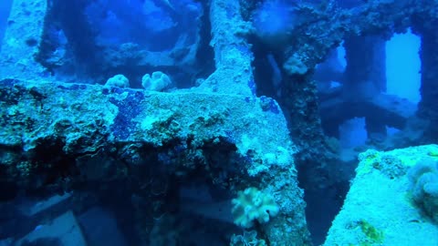 Diving in Okinawa