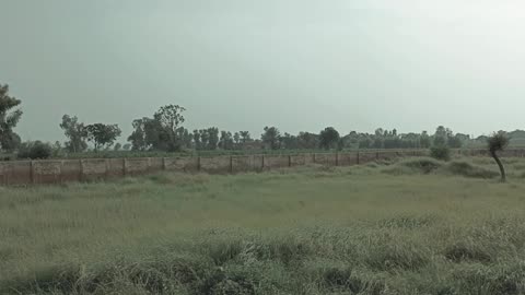 Naushahro feroze Sindh Pakistan