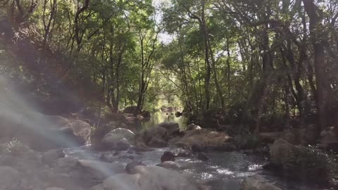 Enjoy Ten Minutes Long Meditation and Relaxing Video #1