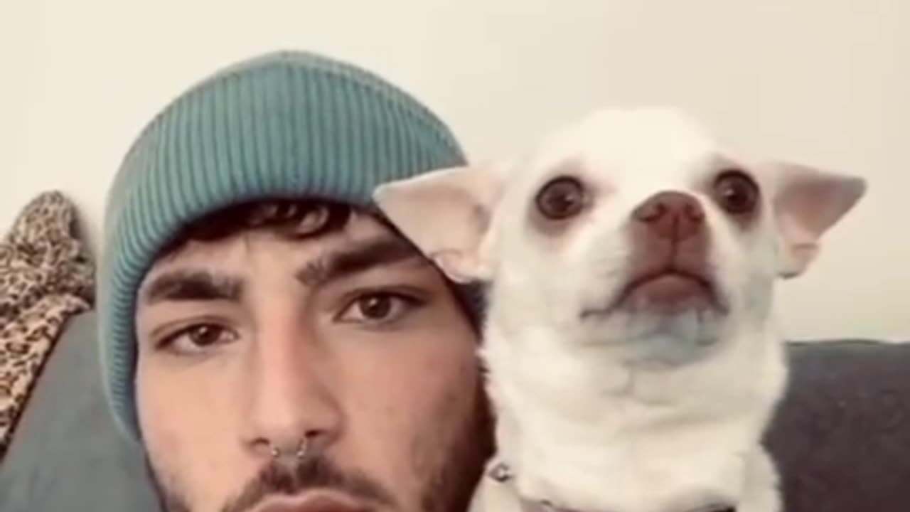 Try to not laugh 🤣 funny animals 😹