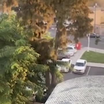 Israel declares 'state of war' as Hamas gunmen PARAGLIDE across border