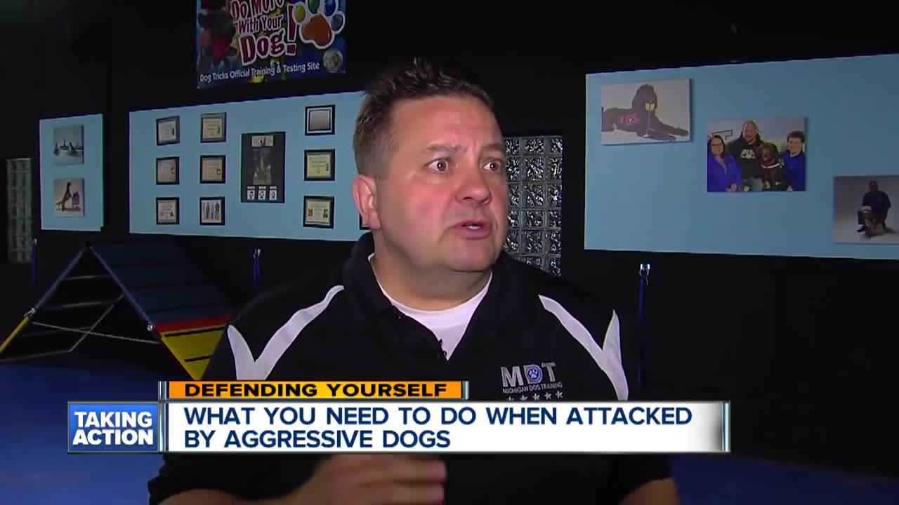 Defending yourself from a dog atttack!