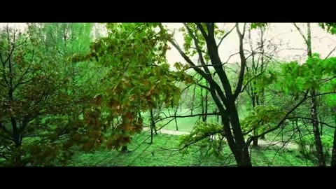 New Masihi 2024" Imaan "by Tehmina Tariq