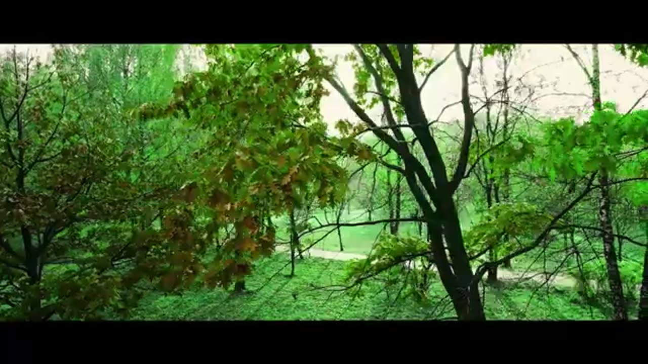 New Masihi 2024" Imaan "by Tehmina Tariq
