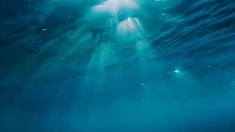 The beauty of the underwater world of the ocean / relaxation and enjoyment