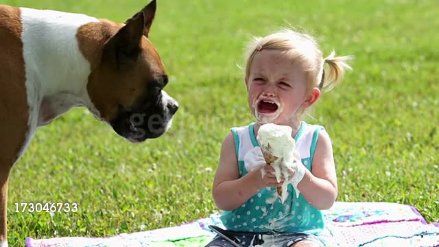 Dog Eating Innocent Little Girl's Icecream