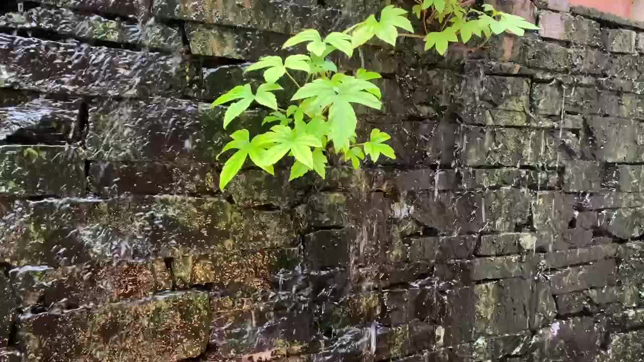 the sound of water falling on the wall