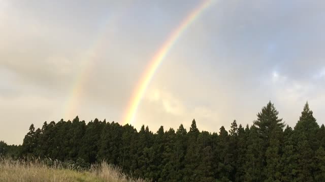 Hawaiian rainbows