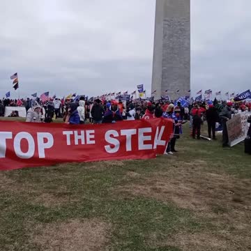 Chinese Americans FIGHT for President Trump...