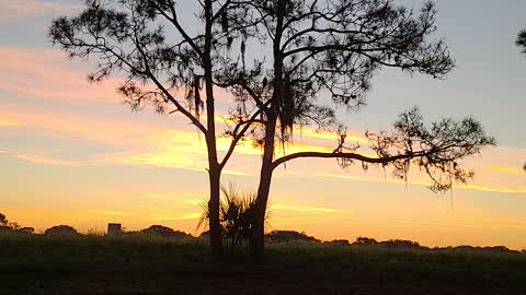 Sunrise, Another Beautiful Day