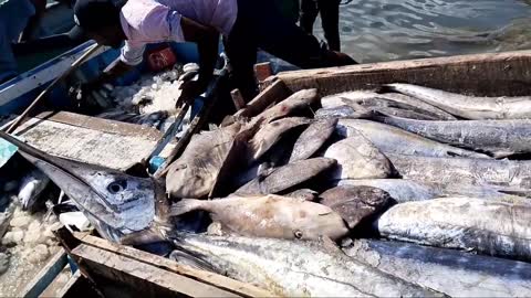 Big Fish Catching || Amazing GholFish || Deep sea in Gujarat fishing Boat ||-9