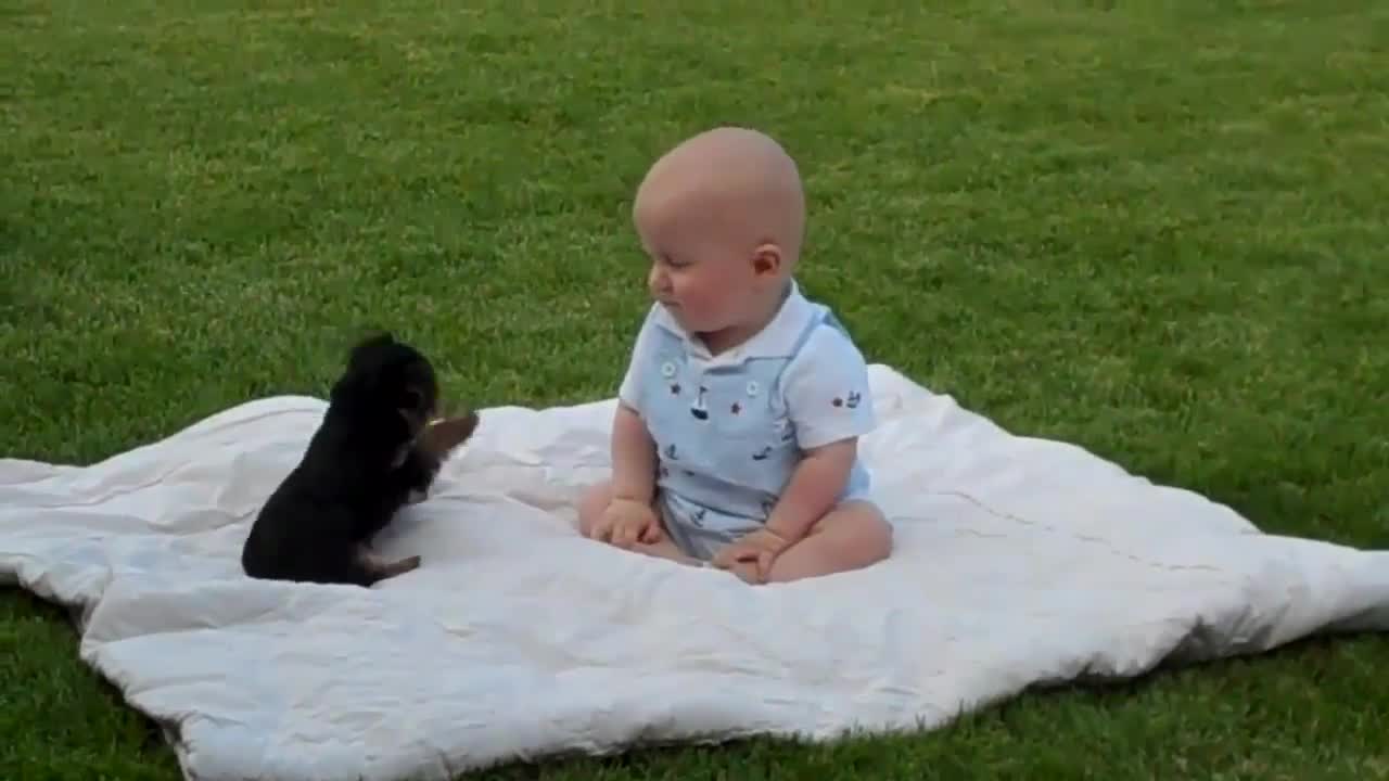 Baby playing with cuddly dog 😍