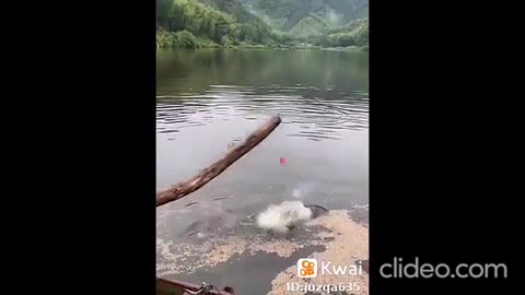 filme o gato ltador completo