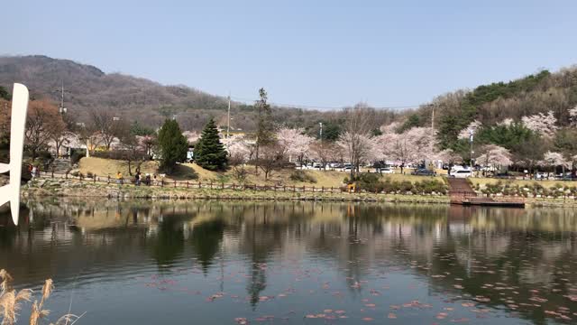 Park with a lake