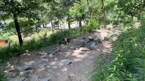 Bing hiking the beautiful Maryland Heights Trail outside of Harpers Ferry