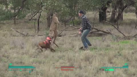 Lone Wanderer punches a kangaroo in the face to rescue his dogmeat