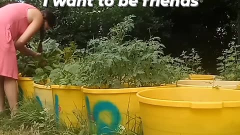 Gardening in a Dress