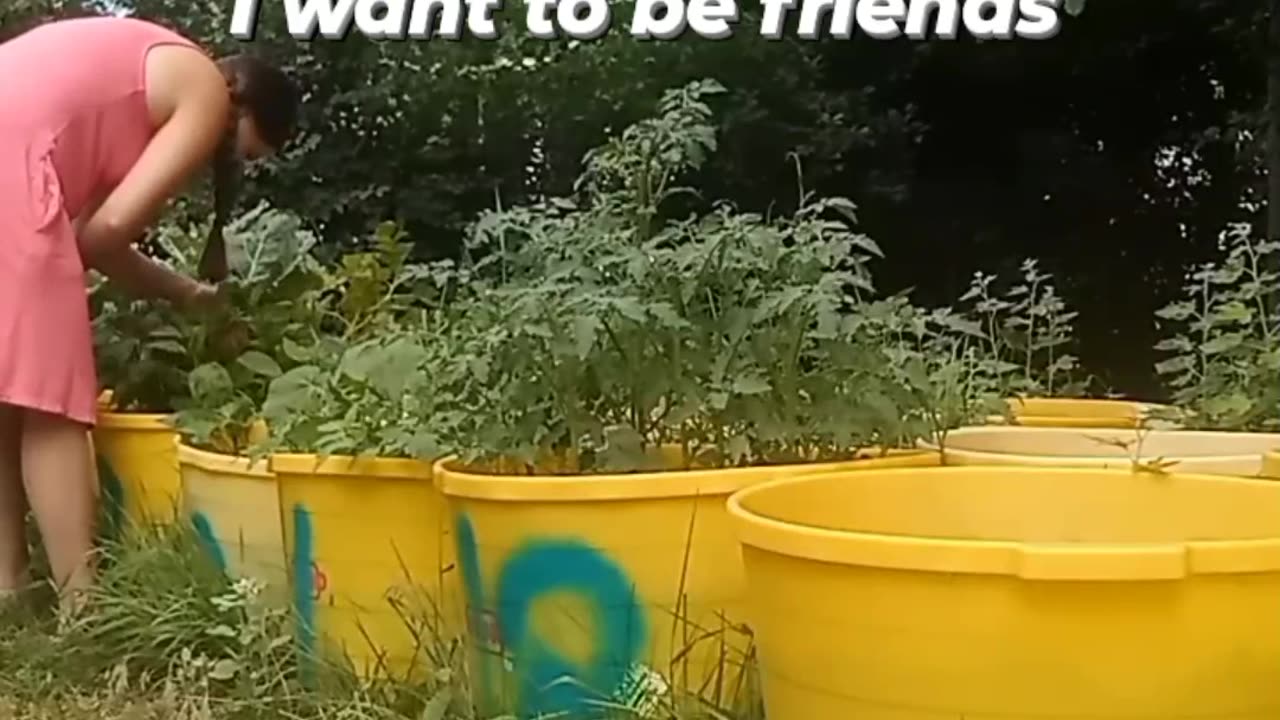 Gardening in a Dress