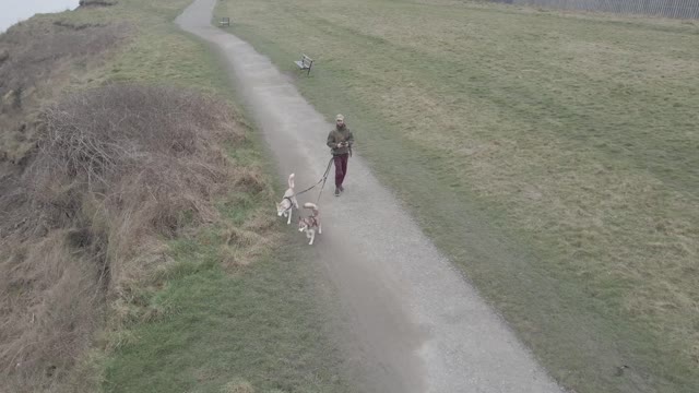 Dogs...rocks.... and the North Sea!