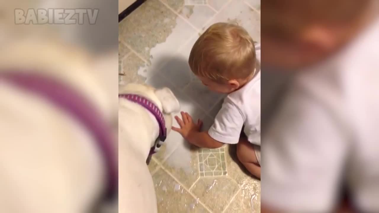 Adorable Babies Playing With Dogs and Cats