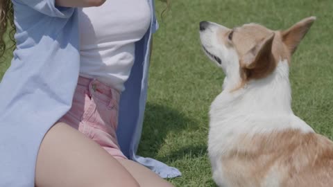 Girl playing with dog !!!