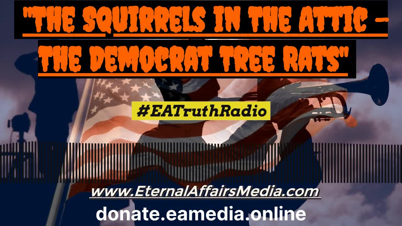 POLITICALLY INCORRECT: Squirrels in The Attic - The Democrat Tree Rats