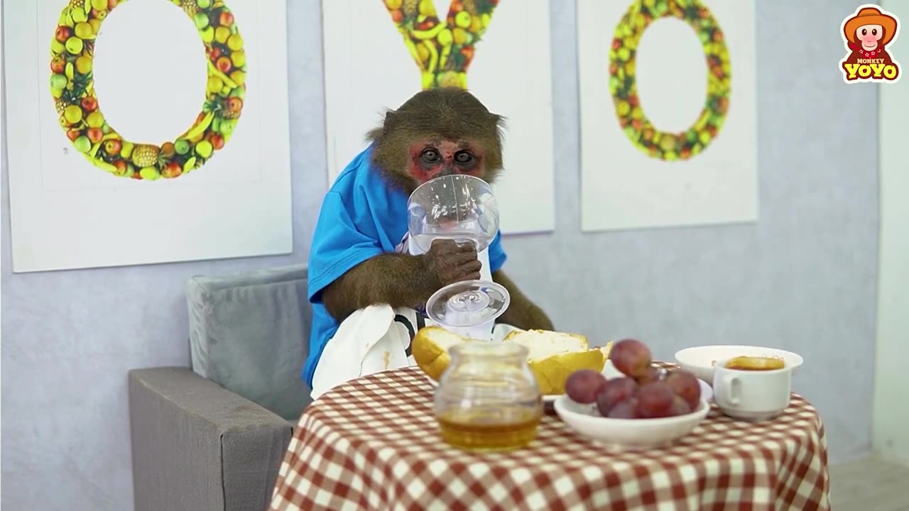 Monkey respected performance 🐒💖💖