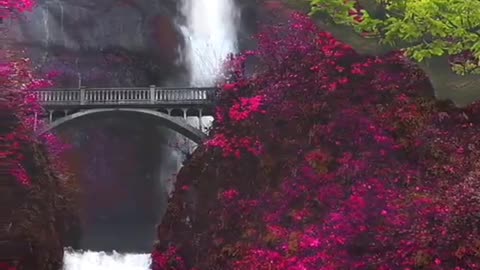 BEAUTIFUL GREENERY PEACE OF MIND
