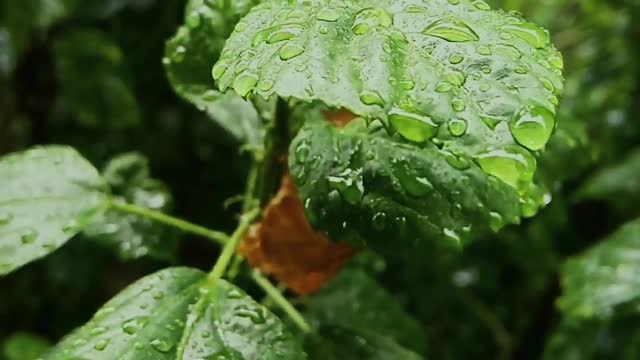 that raining feels like