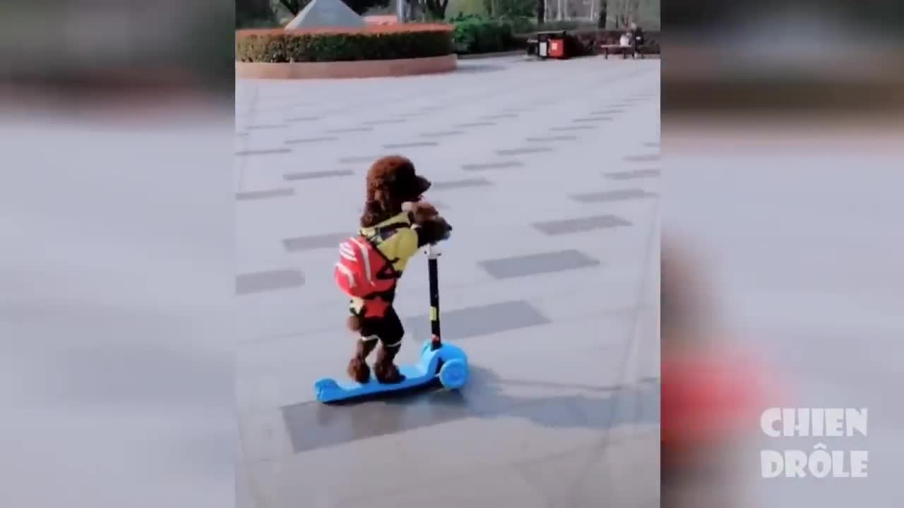 funny runner you will laught!