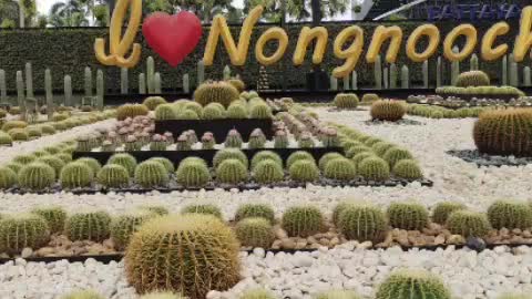 Nongnooch Garden,Thailand